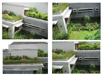 Rumah Minimalis  Taman on Contoh Rumah Dengan Taman Atap   Aku Ingin Hijau